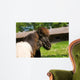 Loving Shetland Ponies Wall Decal