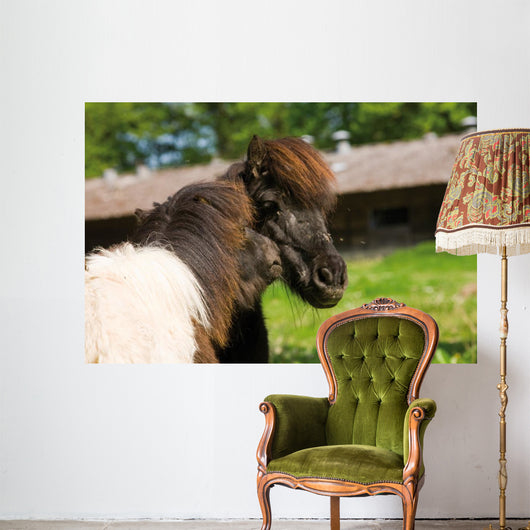 Loving Shetland Ponies Wall Decal