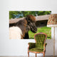 Loving Shetland Ponies Wall Decal