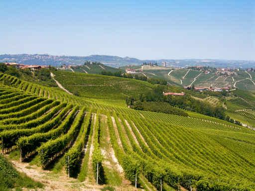 Piemonte Le Langhe Wall Decal