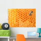 Bee Honeycomb Wall Decal