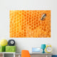 Bee Honeycomb Wall Decal
