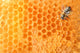 Bee Honeycomb Wall Decal