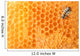 Bee Honeycomb Wall Decal