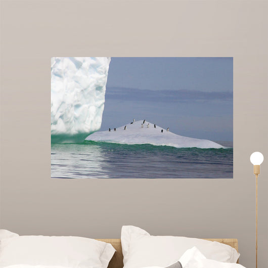 Antarctica Iceberg Wall Decal Design 1