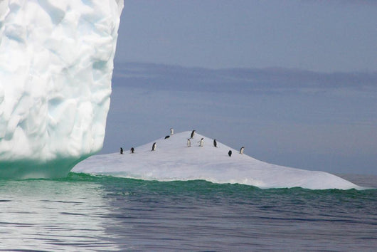 Antarctica Iceberg Wall Decal Design 1