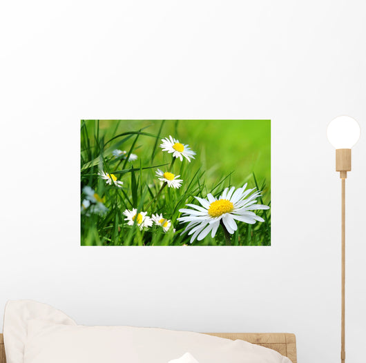 Daisy 141 Wall Decal