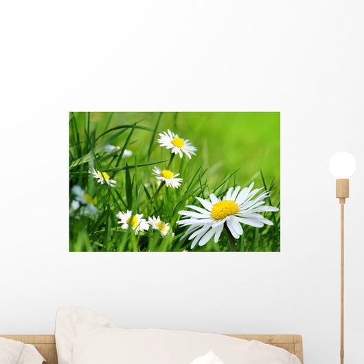 Daisy 141 Wall Decal
