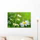 Daisy 141 Wall Decal