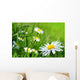 Daisy 141 Wall Decal