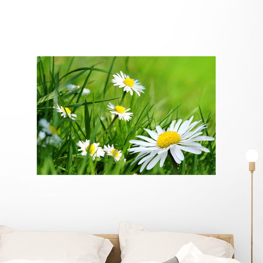 Daisy 141 Wall Decal