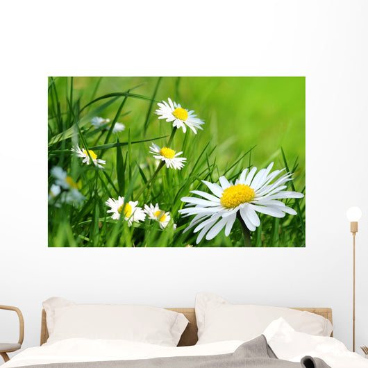 Daisy 141 Wall Decal