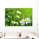 Daisy 141 Wall Decal