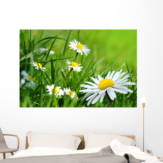 Daisy 141 Wall Decal
