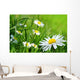 Daisy 141 Wall Decal