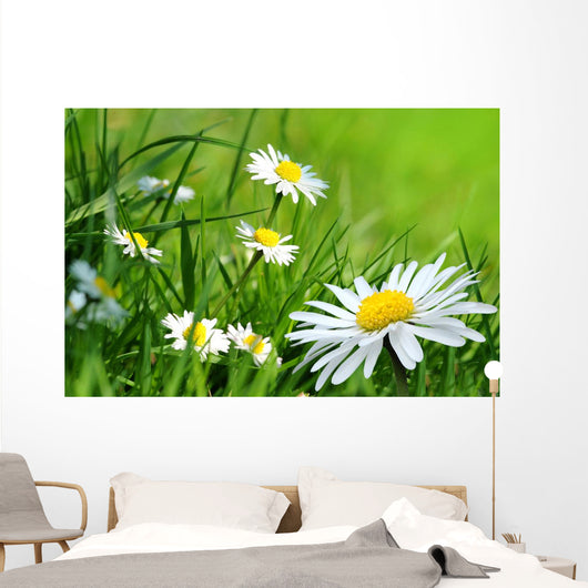 Daisy 141 Wall Decal
