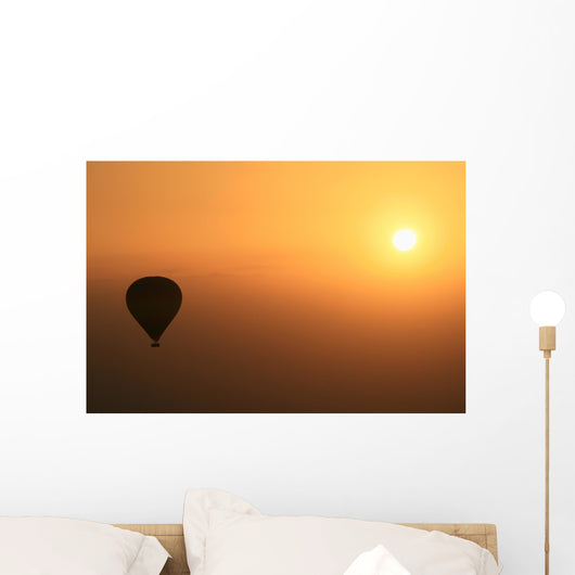 Sunset Balloon Wall Decal