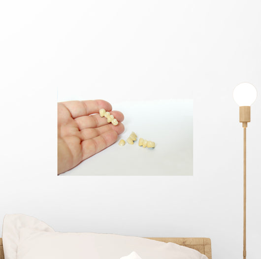 Porcelain Crowns Bridge Dentistry Wall Decal