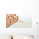 Porcelain Crowns Bridge Dentistry Wall Decal