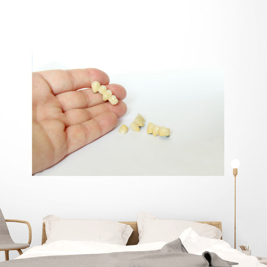 Porcelain Crowns Bridge Dentistry Wall Decal