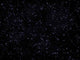 Star Sky Wall Decal