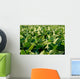 Soy Bean Farming Wall Decal