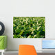 Soy Bean Farming Wall Decal