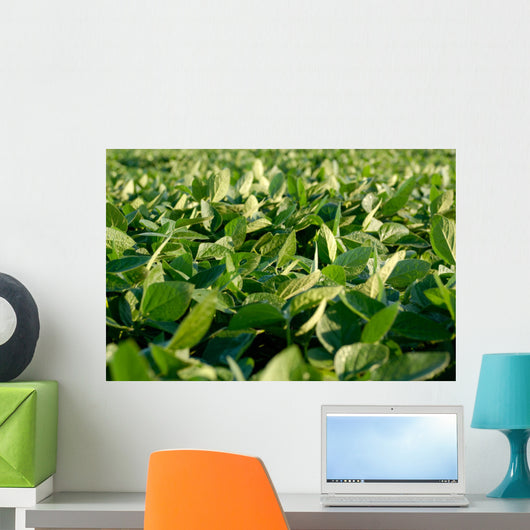 Soy Bean Farming Wall Decal