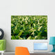 Soy Bean Farming Wall Decal