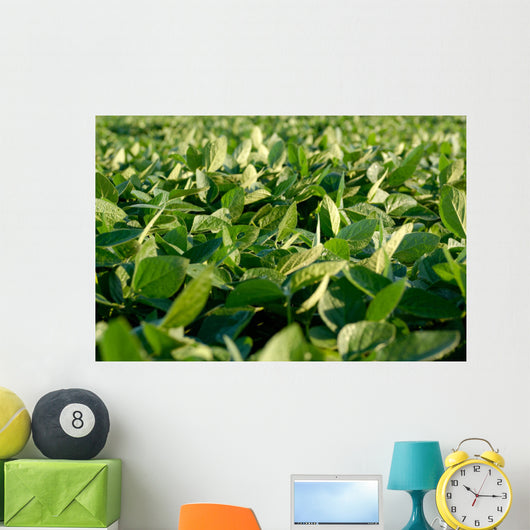 Soy Bean Farming Wall Decal