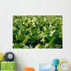 Soy Bean Farming Wall Decal