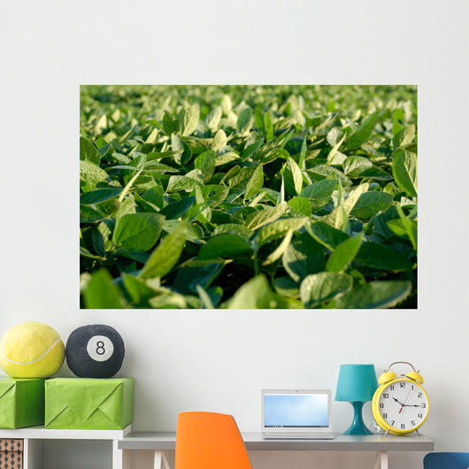 Soy Bean Farming Wall Decal