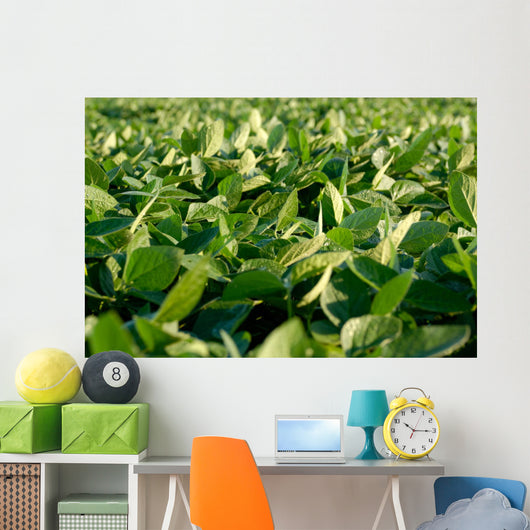 Soy Bean Farming Wall Decal