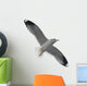 Flying Seagull Wall Decal
