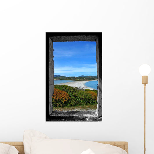 Window Wall Decal