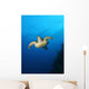 Inquisitive Sea Turtle Wall Decal