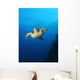 Inquisitive Sea Turtle Wall Decal