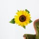 Sunflower Fig Sets Wall Decal