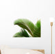 Leaves Palm Tree Wall Decal Design 1
