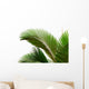 Leaves Palm Tree Wall Decal Design 1