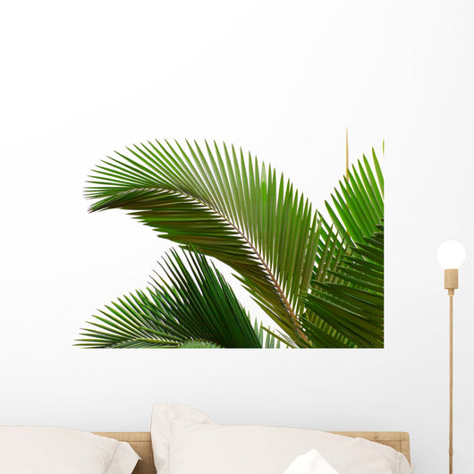 Leaves Palm Tree Wall Decal Design 1