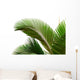 Leaves Palm Tree Wall Decal Design 1