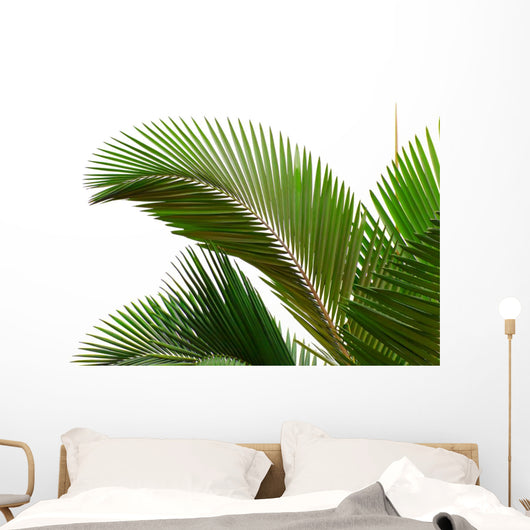 Leaves Palm Tree Wall Decal Design 1