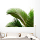 Leaves Palm Tree Wall Decal Design 1