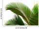 Leaves Palm Tree Wall Decal Design 1