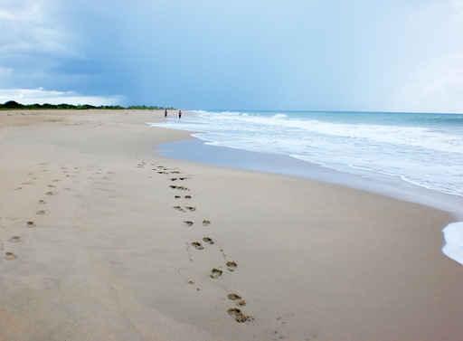 Jogging Sand Wall Decal