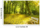 Romantic Park Autumn Wall Decal