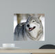 Gray Wolf Wall Mural
