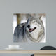 Gray Wolf Wall Mural