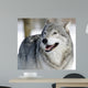Gray Wolf Wall Mural